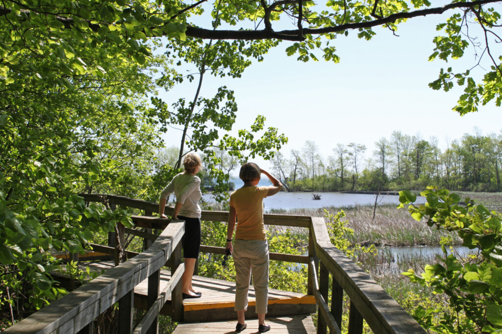 Visitors enjoy the view at Rattray Marsh