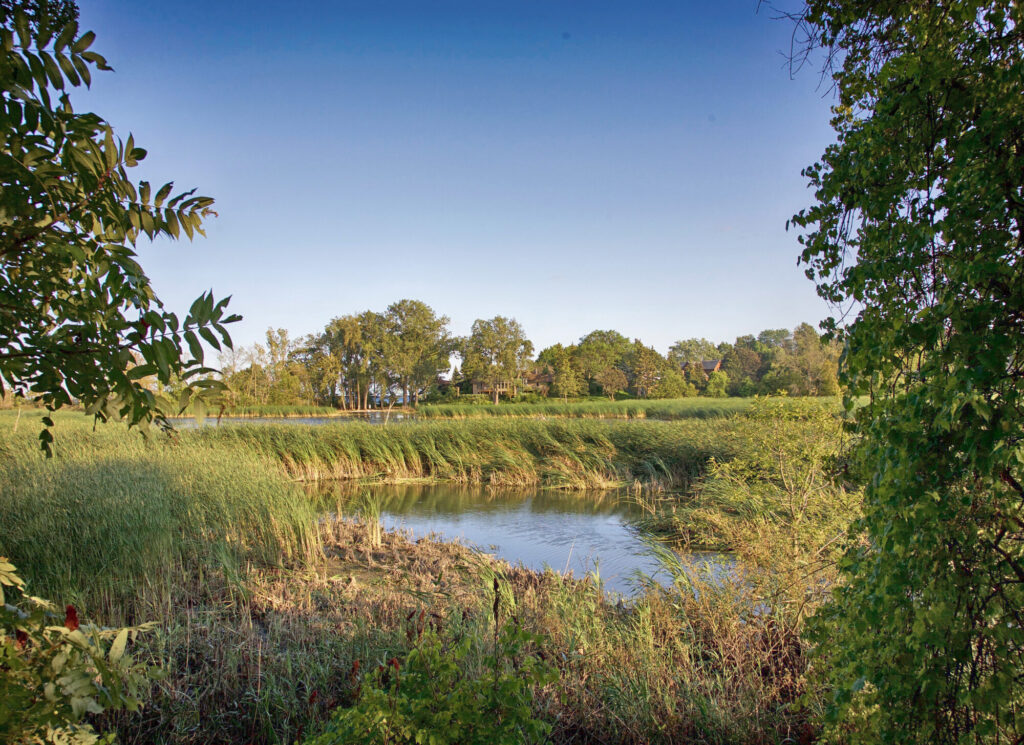 Rattray marsh